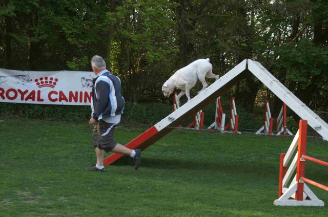 agility 2011-04